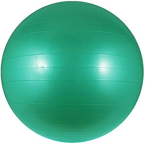 Fit Spartan 65 cm